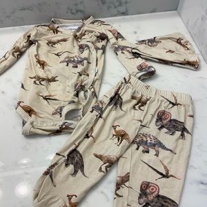 Posh Peanut 3 piece dinosaur set